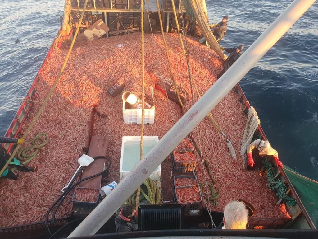 Buque pesquero Salvador R, vista 2 octubre 2025